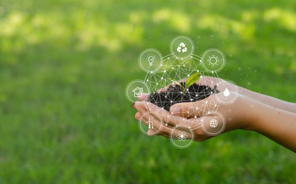 Soluções práticas e sustentáveis para a construção