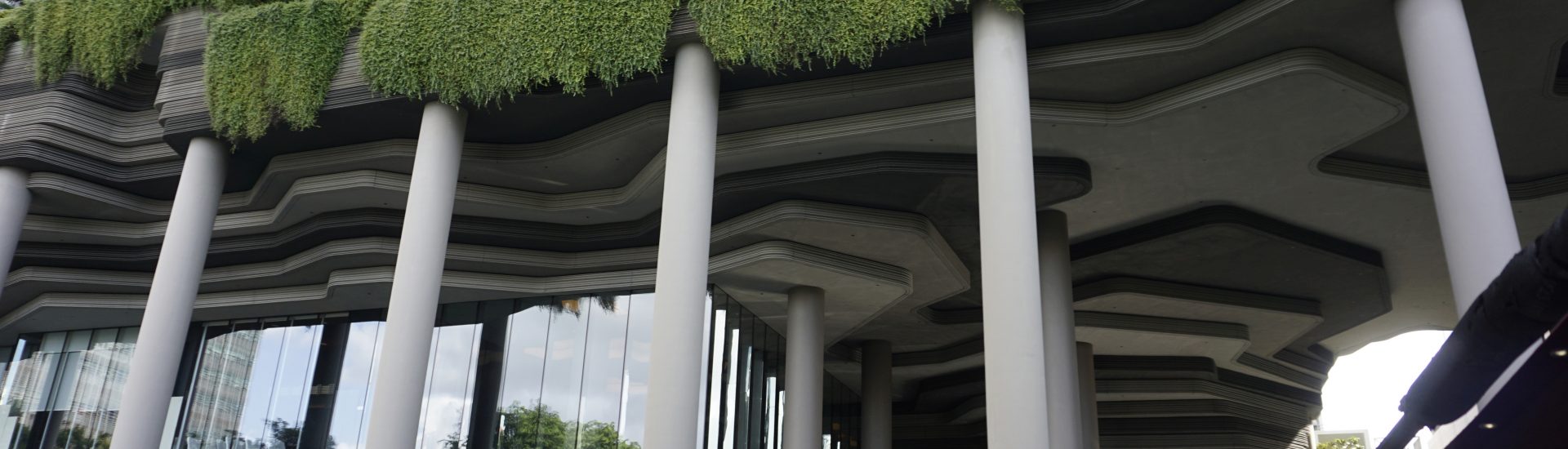 Bioarquitetura aproveita recursos naturais para construir ambientes inovadores.