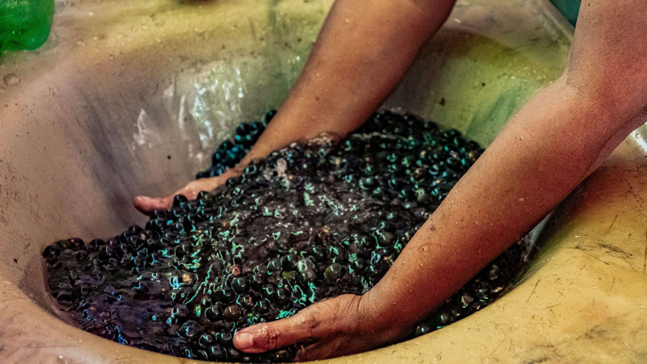 Coprocessamento do caroço de açaí na produção de cimento